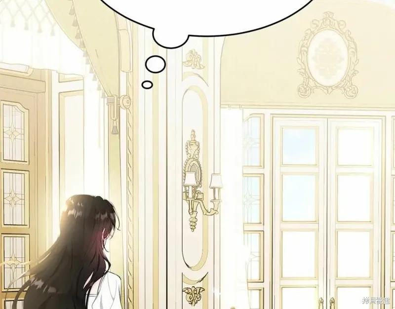 《明明是冷美人小姐却变成了忠犬大少爷》第100话 第86页