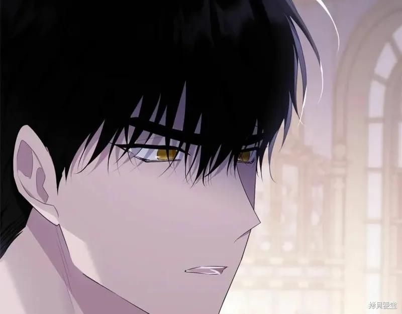 《明明是冷美人小姐却变成了忠犬大少爷》第100话 第98页