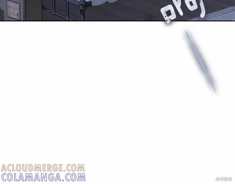《明明是冷美人小姐却变成了忠犬大少爷》第100话 第13页