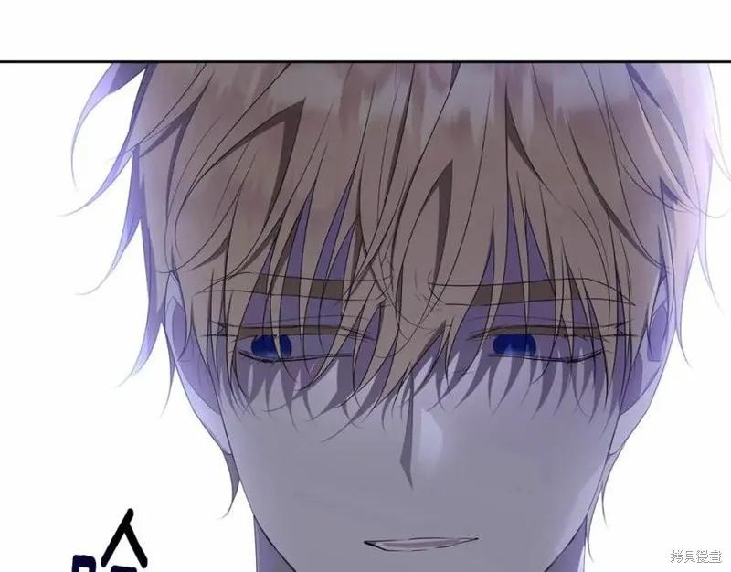 《明明是冷美人小姐却变成了忠犬大少爷》第100话 第232页