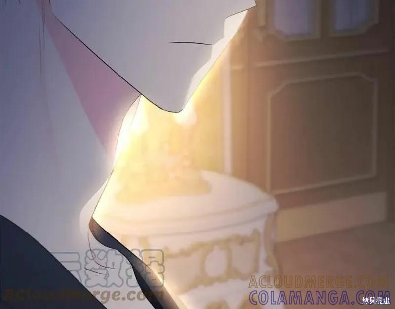 《明明是冷美人小姐却变成了忠犬大少爷》第100话 第73页