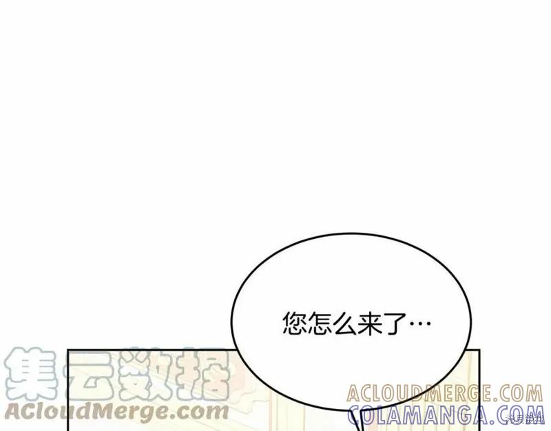 《明明是冷美人小姐却变成了忠犬大少爷》第100话 第93页