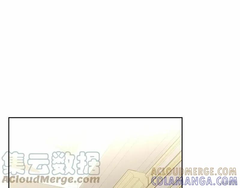 《明明是冷美人小姐却变成了忠犬大少爷》第100话 第161页