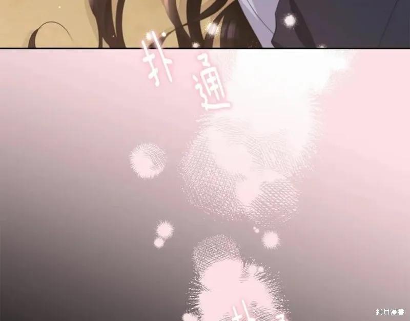 《明明是冷美人小姐却变成了忠犬大少爷》第100话 第3页