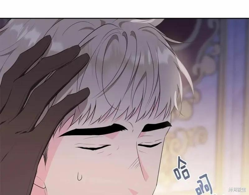《明明是冷美人小姐却变成了忠犬大少爷》第100话 第187页