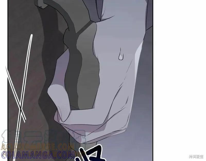 《明明是冷美人小姐却变成了忠犬大少爷》第100话 第37页