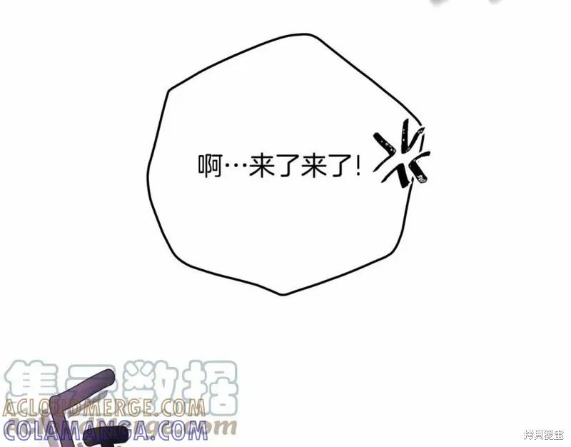 《明明是冷美人小姐却变成了忠犬大少爷》第100话 第17页