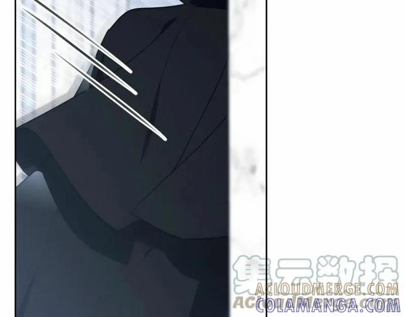 《明明是冷美人小姐却变成了忠犬大少爷》第101话 第261页