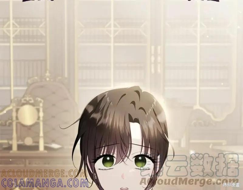 《明明是冷美人小姐却变成了忠犬大少爷》第101话 第33页
