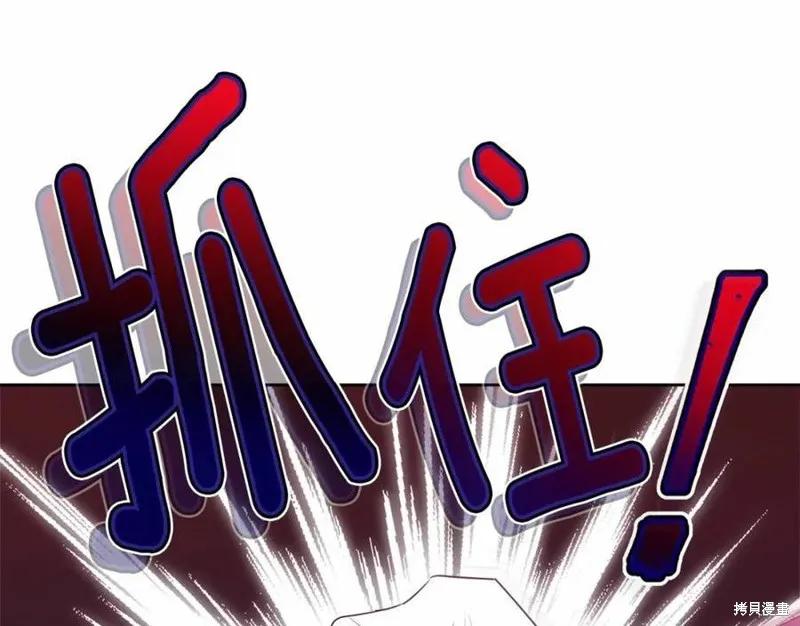 《明明是冷美人小姐却变成了忠犬大少爷》第101话 第263页