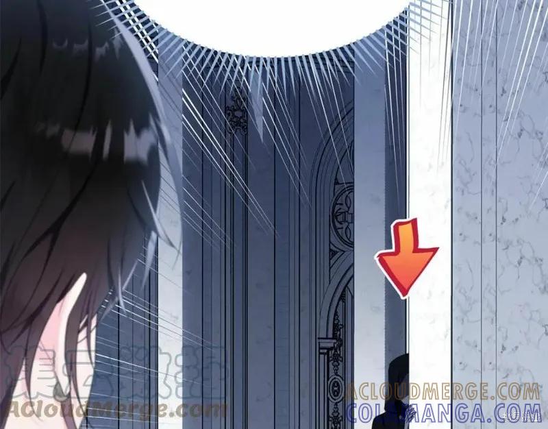 《明明是冷美人小姐却变成了忠犬大少爷》第101话 第249页