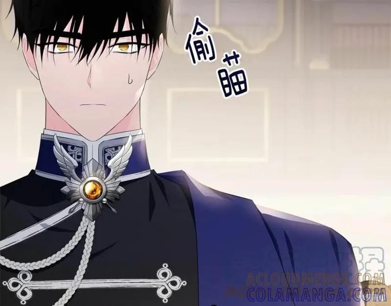 《明明是冷美人小姐却变成了忠犬大少爷》第101话 第181页