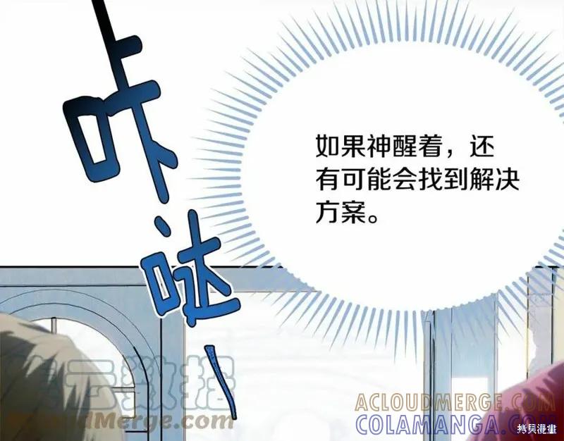 《明明是冷美人小姐却变成了忠犬大少爷》第101话 第237页