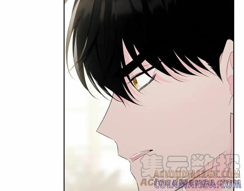 《明明是冷美人小姐却变成了忠犬大少爷》第101话 第117页