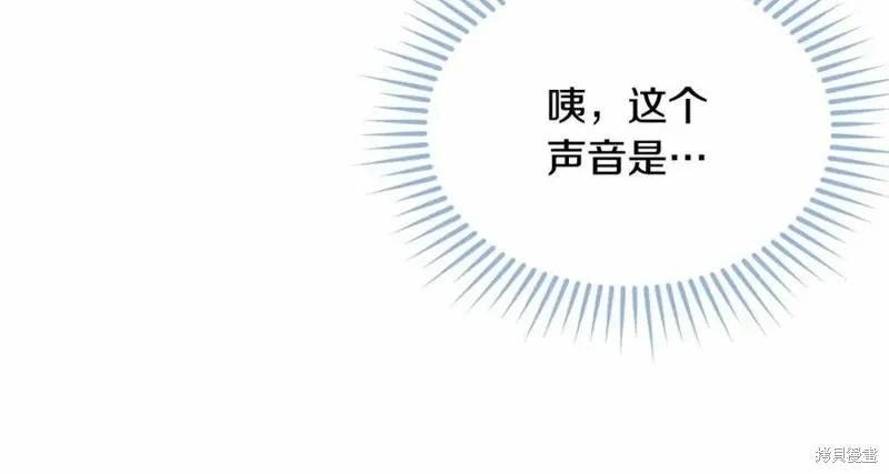 《明明是冷美人小姐却变成了忠犬大少爷》第101话 第266页