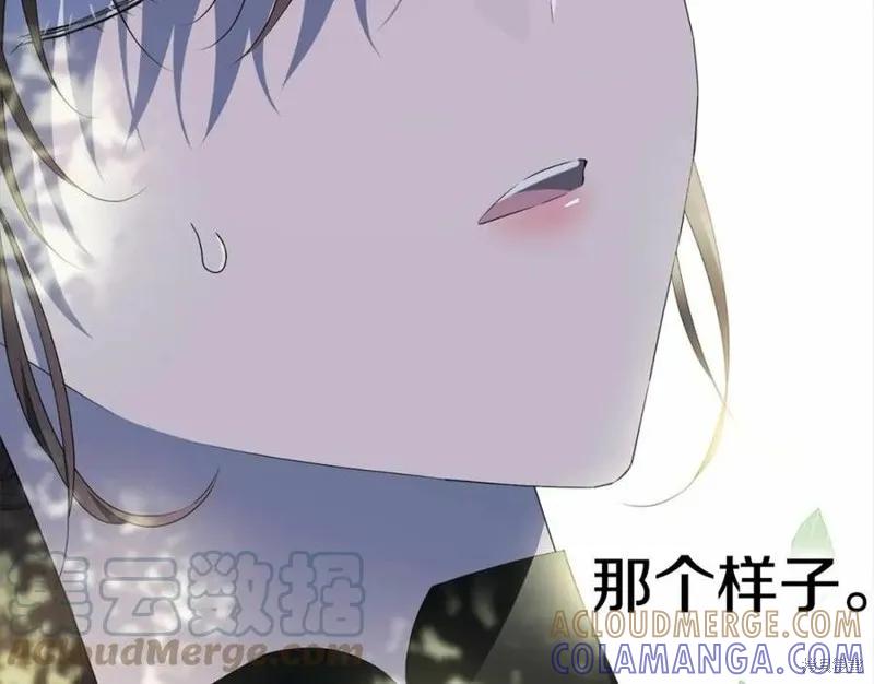 《明明是冷美人小姐却变成了忠犬大少爷》第101话 第173页