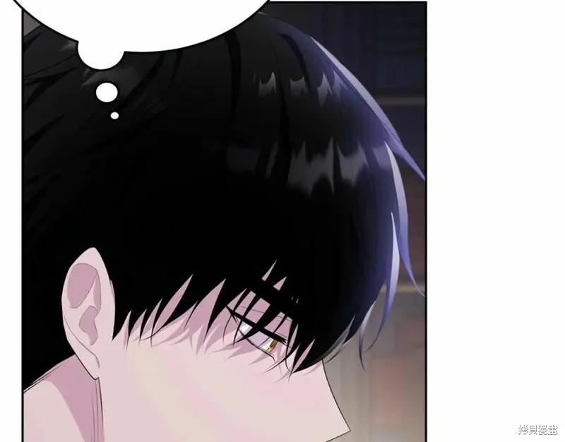 《明明是冷美人小姐却变成了忠犬大少爷》第101话 第164页