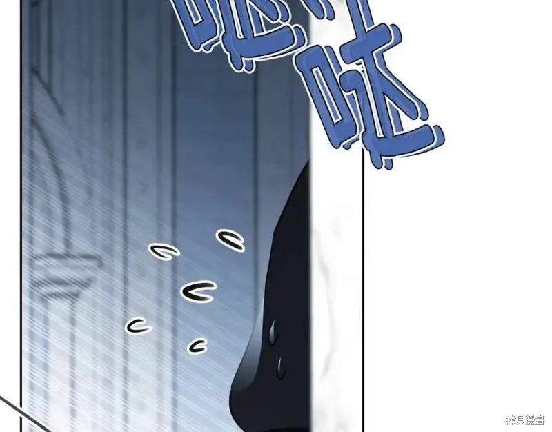 《明明是冷美人小姐却变成了忠犬大少爷》第101话 第260页