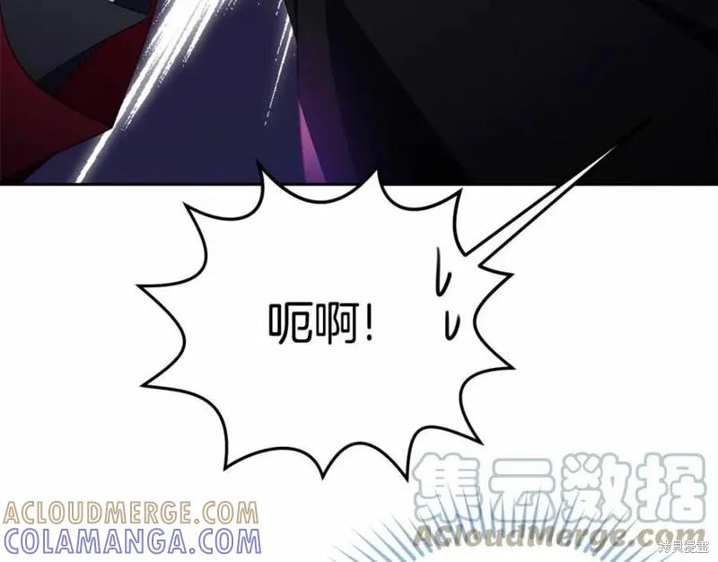 《明明是冷美人小姐却变成了忠犬大少爷》第101话 第265页