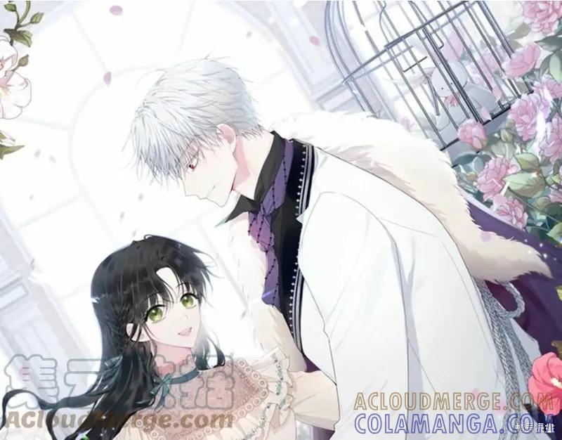 《明明是冷美人小姐却变成了忠犬大少爷》第101话 第153页