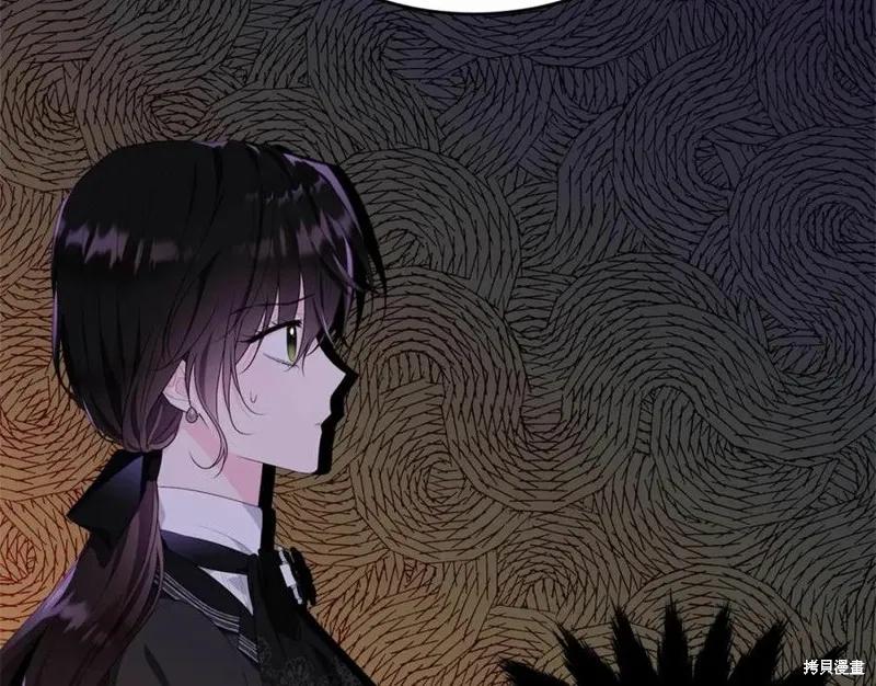 《明明是冷美人小姐却变成了忠犬大少爷》第101话 第114页