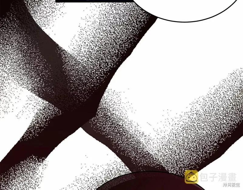 《明明是冷美人小姐却变成了忠犬大少爷》第107话 第275页