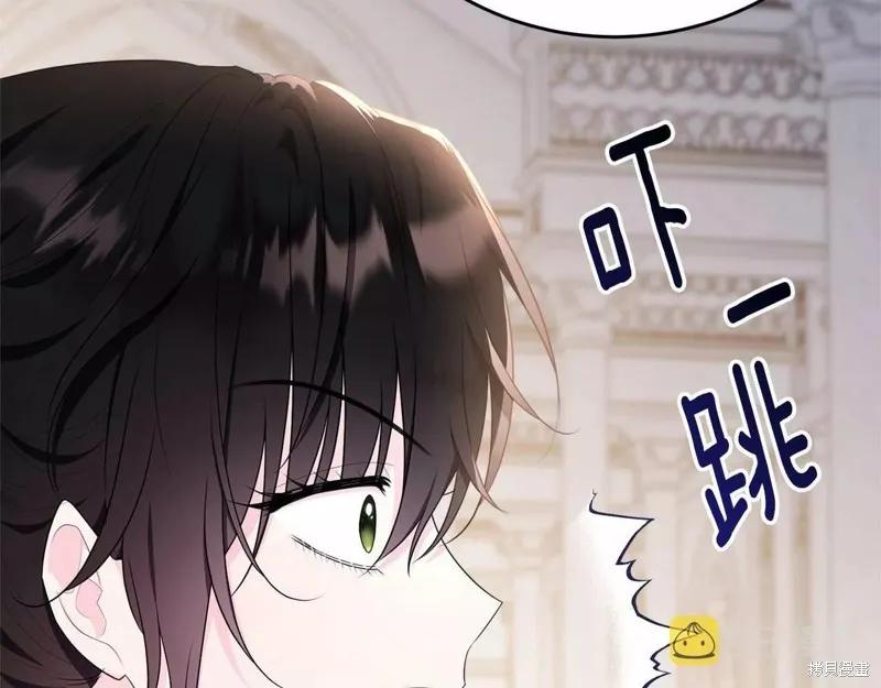 《明明是冷美人小姐却变成了忠犬大少爷》第107话 第63页