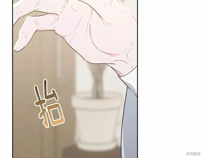 《明明是冷美人小姐却变成了忠犬大少爷》第107话 第44页