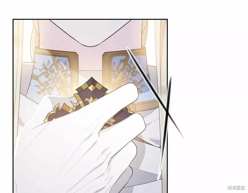 《明明是冷美人小姐却变成了忠犬大少爷》第107话 第206页