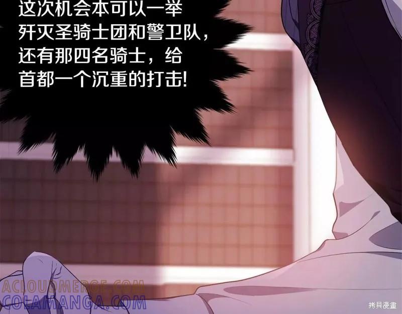 《明明是冷美人小姐却变成了忠犬大少爷》第107话 第265页