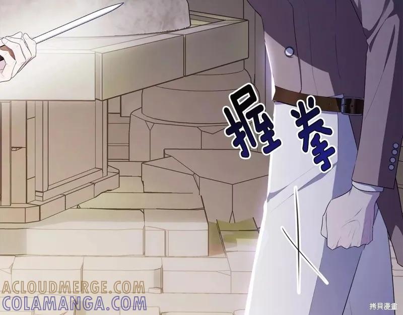 《明明是冷美人小姐却变成了忠犬大少爷》第107话 第161页