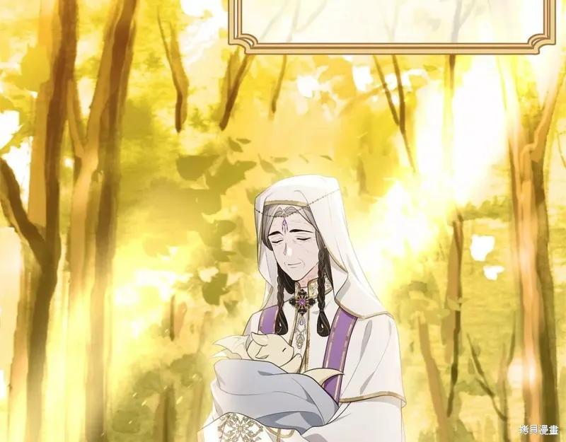 《明明是冷美人小姐却变成了忠犬大少爷》第107话 第196页