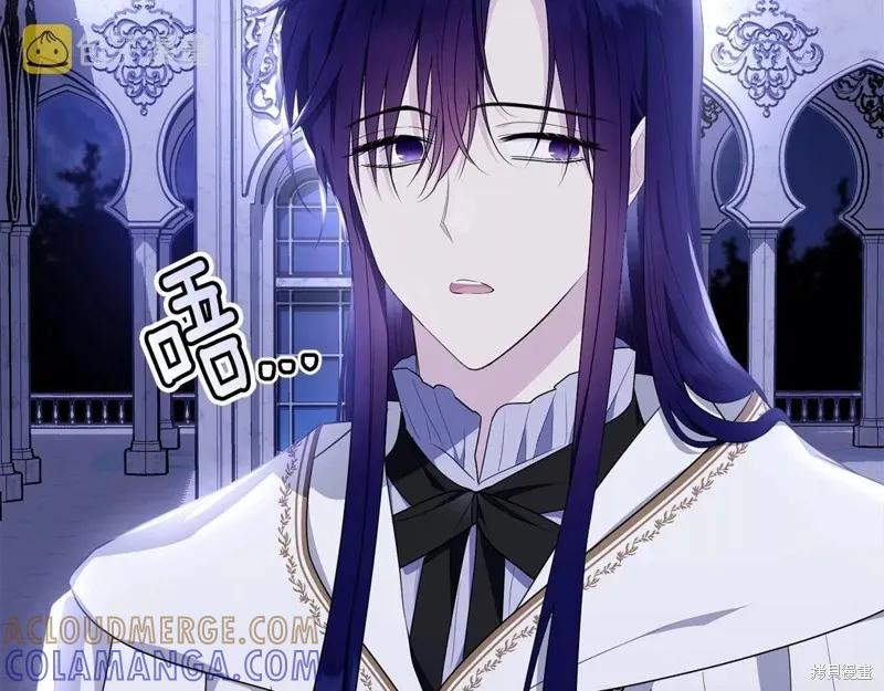 《明明是冷美人小姐却变成了忠犬大少爷》第108话 第97页