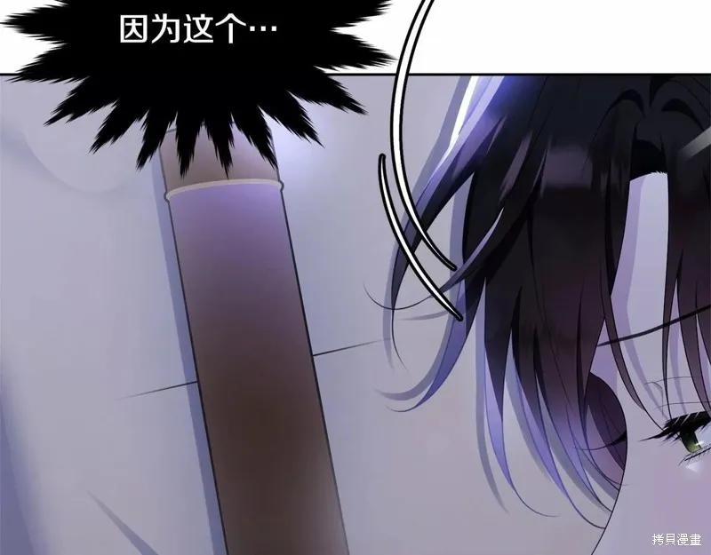 《明明是冷美人小姐却变成了忠犬大少爷》第108话 第11页