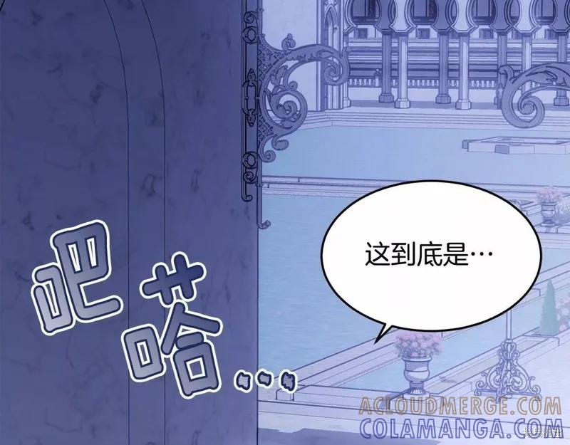 《明明是冷美人小姐却变成了忠犬大少爷》第108话 第149页