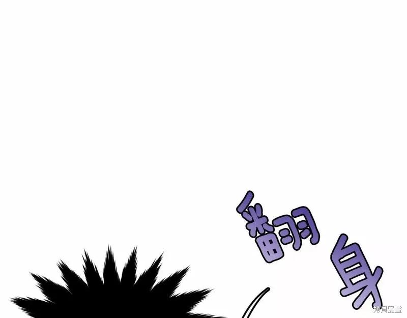 《明明是冷美人小姐却变成了忠犬大少爷》第108话 第10页