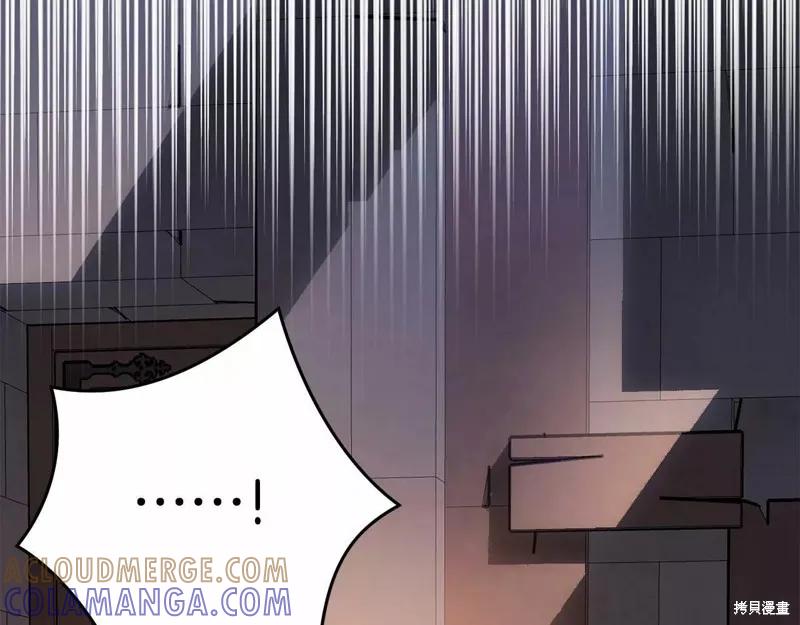 《明明是冷美人小姐却变成了忠犬大少爷》第108话 第213页