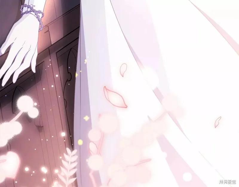 《明明是冷美人小姐却变成了忠犬大少爷》第109话 第166页