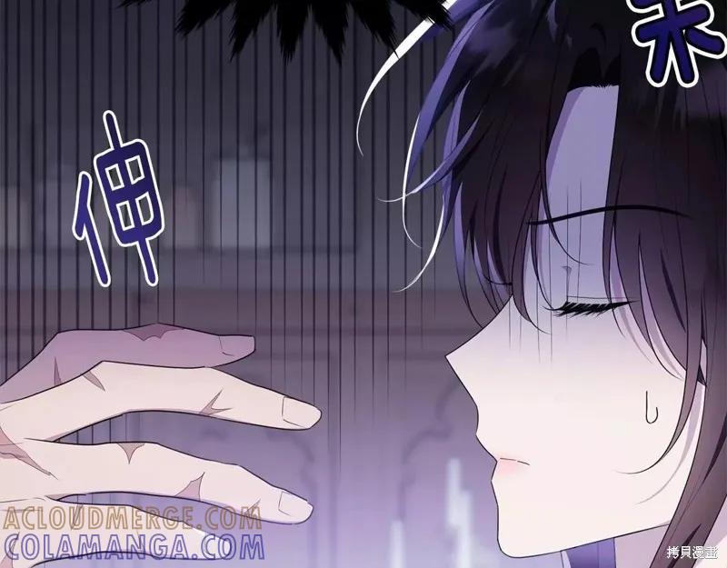 《明明是冷美人小姐却变成了忠犬大少爷》第109话 第25页