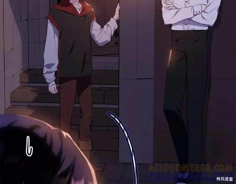 《明明是冷美人小姐却变成了忠犬大少爷》第109话 第17页