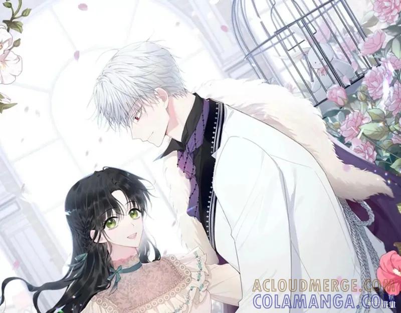 《明明是冷美人小姐却变成了忠犬大少爷》第109话 第29页