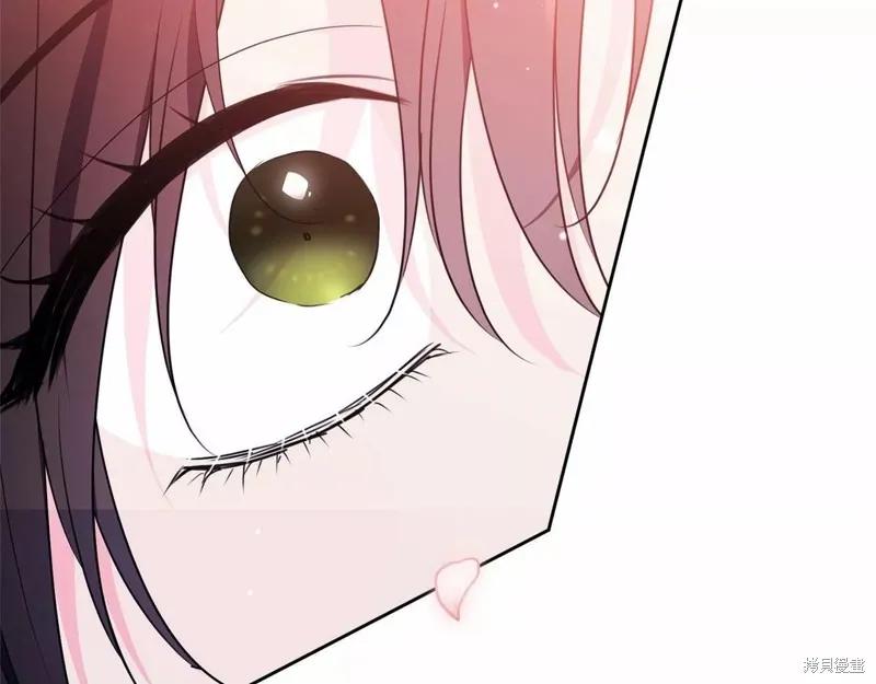《明明是冷美人小姐却变成了忠犬大少爷》第109话 第160页