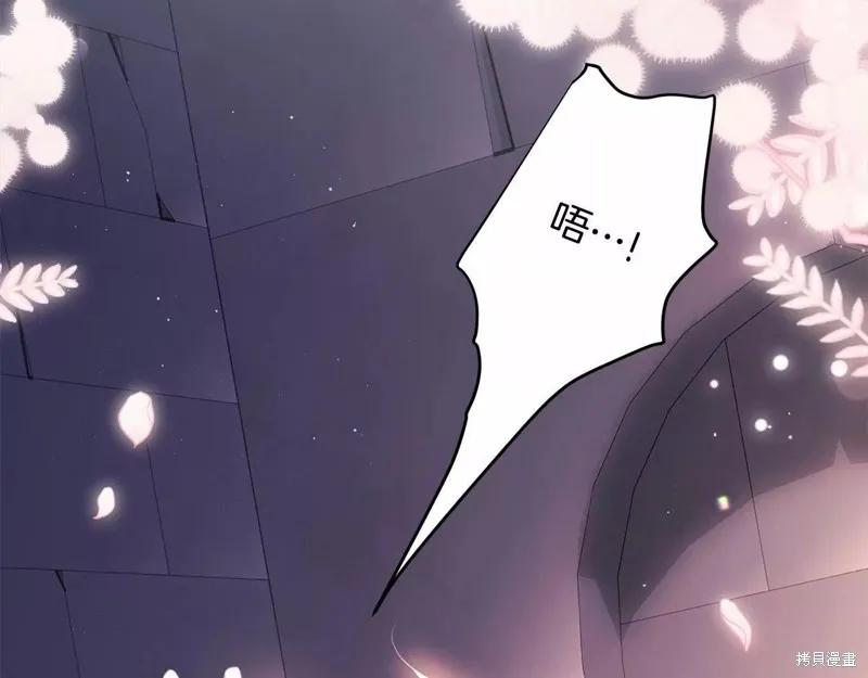 《明明是冷美人小姐却变成了忠犬大少爷》第109话 第163页
