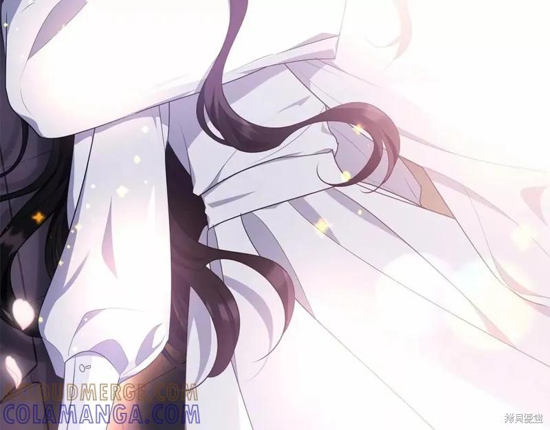 《明明是冷美人小姐却变成了忠犬大少爷》第109话 第165页
