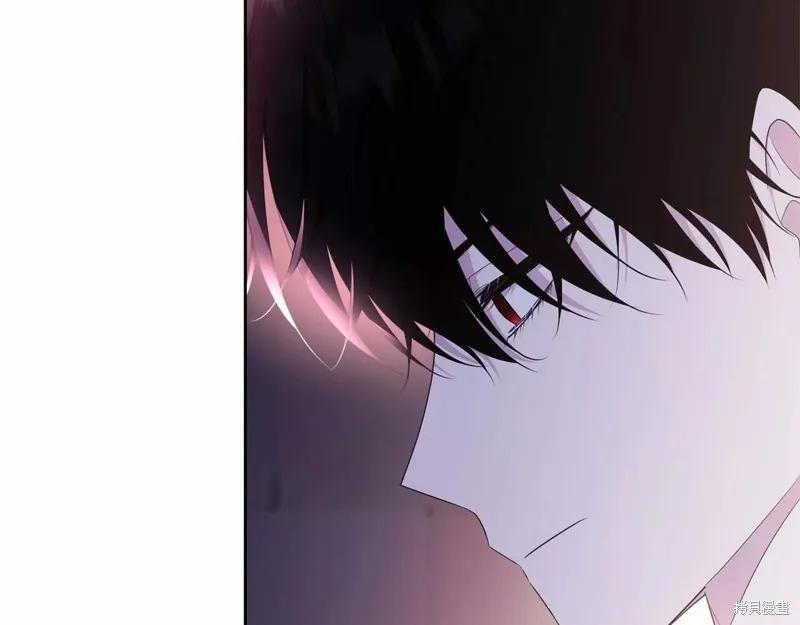 《明明是冷美人小姐却变成了忠犬大少爷》第109话 第196页