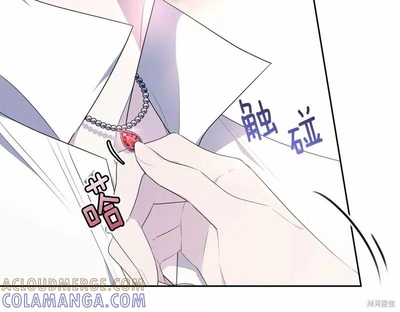 《明明是冷美人小姐却变成了忠犬大少爷》第109话 第221页