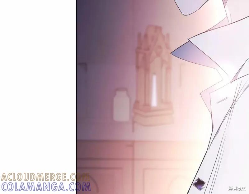 《明明是冷美人小姐却变成了忠犬大少爷》第109话 第197页