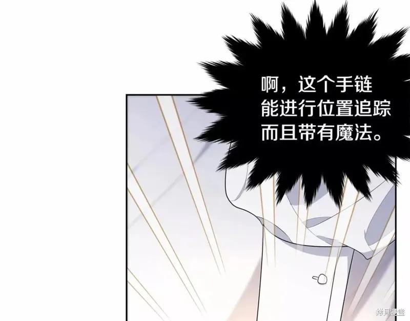 《明明是冷美人小姐却变成了忠犬大少爷》第110话 第62页