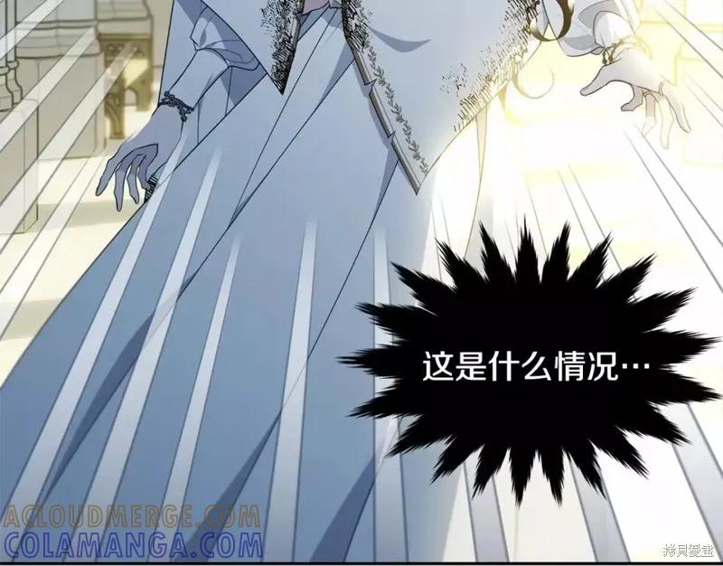 《明明是冷美人小姐却变成了忠犬大少爷》第110话 第249页
