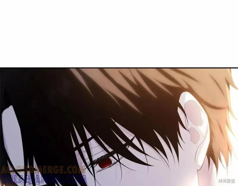 《明明是冷美人小姐却变成了忠犬大少爷》第110话 第5页